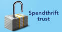 A spendthrift trust can act as a wealth preserver