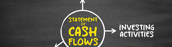 Cash Flow Statement is a financial statement that shows how changes in balance sheet accounts and income affect cash and cash equivalents